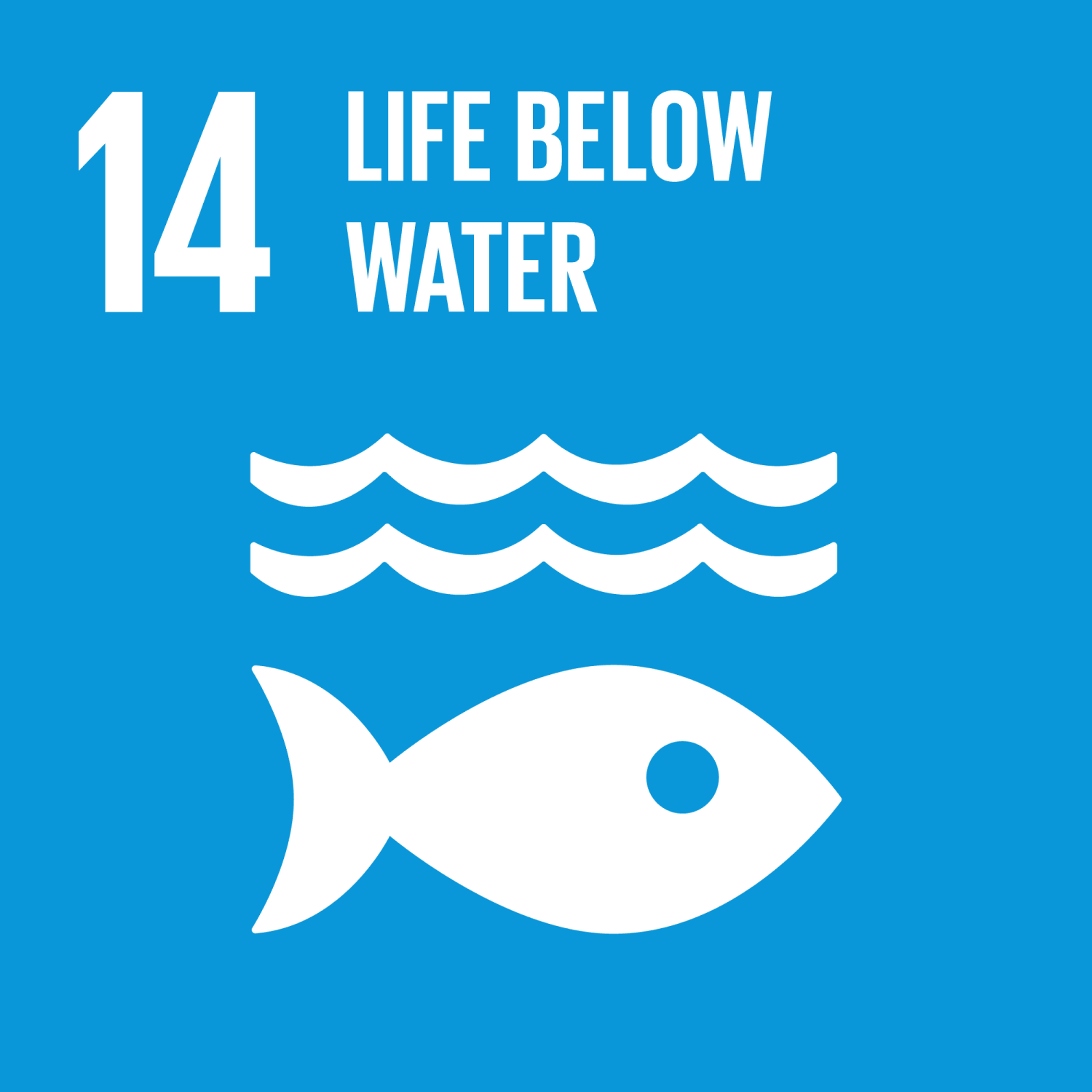 sdg14 sdg14